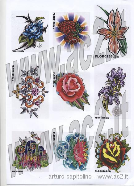 Fiori colorati 053.jpg
